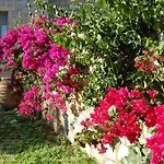 Meropi Villas Καρδαμύλη