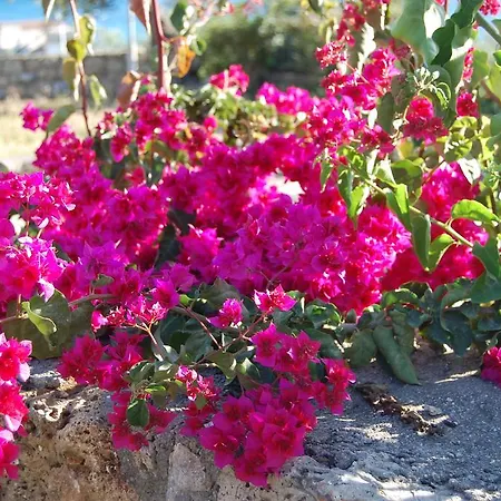 Βίλα Meropi Villas Καρδαμύλη