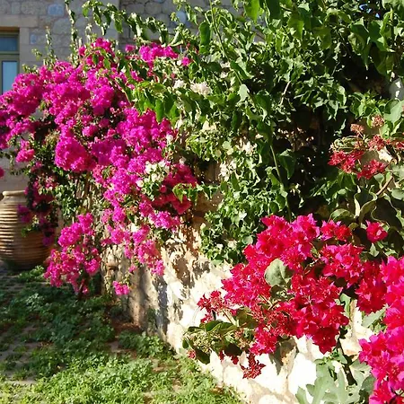 Meropi Villas Kardamyli