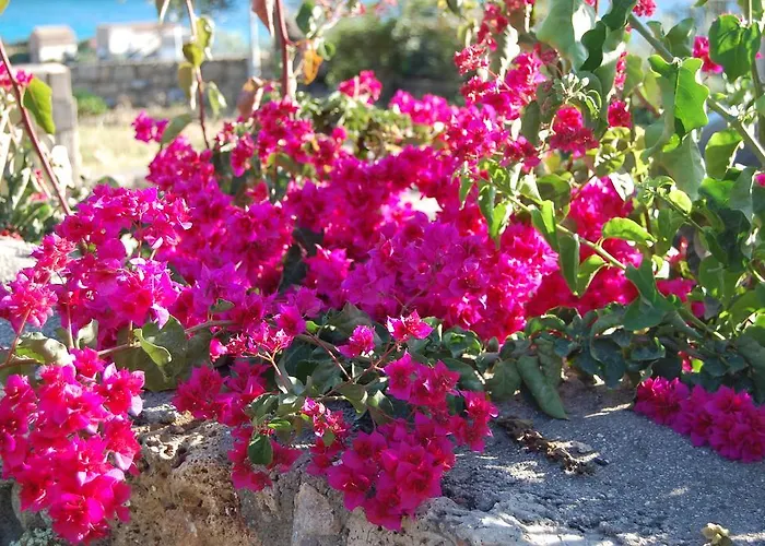 Villa Meropi Villas Kardamyli