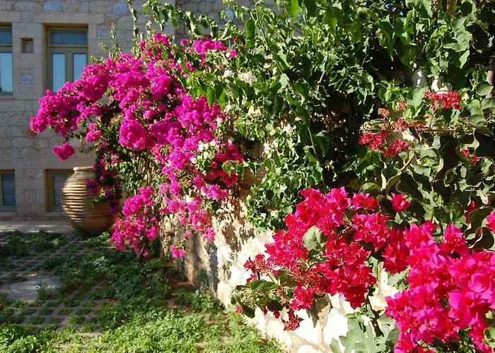 Meropi Villas Kardamyli